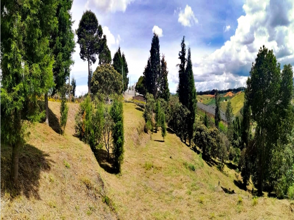 Lote en venta Hojas Anchas, Rionegro 4.600 m², $700 millones — foto 5
