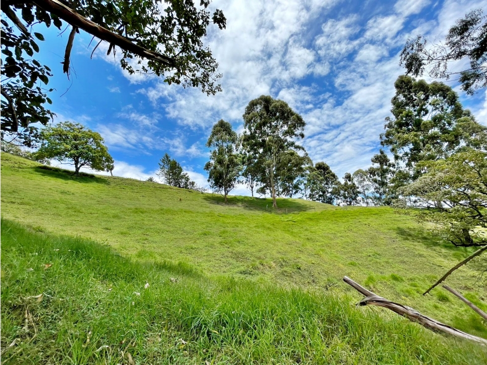 Venta lote en vía Rionegro - El Carmen con nacimientos de agua
