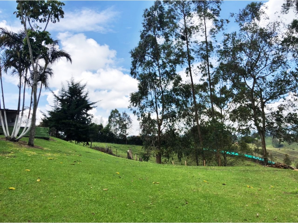 Venta lote en San Antonio de Rionegro con casa campesina — foto 6