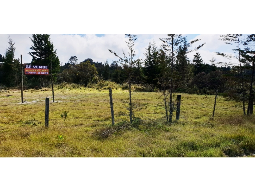 Venta lote en La Mosquita Rionegro con uso comercial e industrial — foto 6