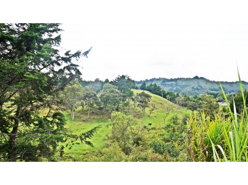 Venta de lote 32.000 m² con uso mixto en ubicación estratégica — foto 2