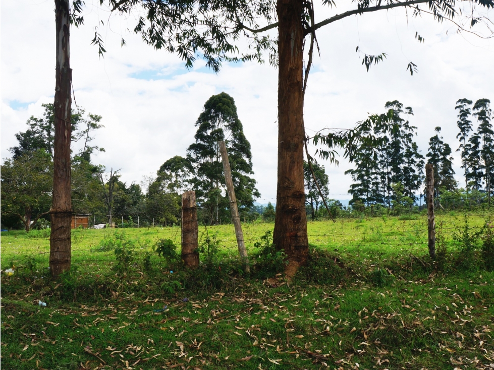 Venta lote en Rionegro suburbano con uso mixto y nacimiento de agua — foto 6