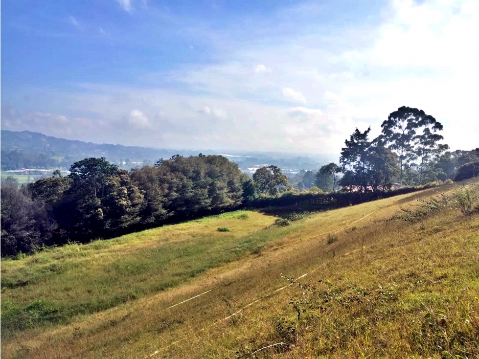 Venta lote en Llanogrande vereda Guayabito con excelente vista — foto 6