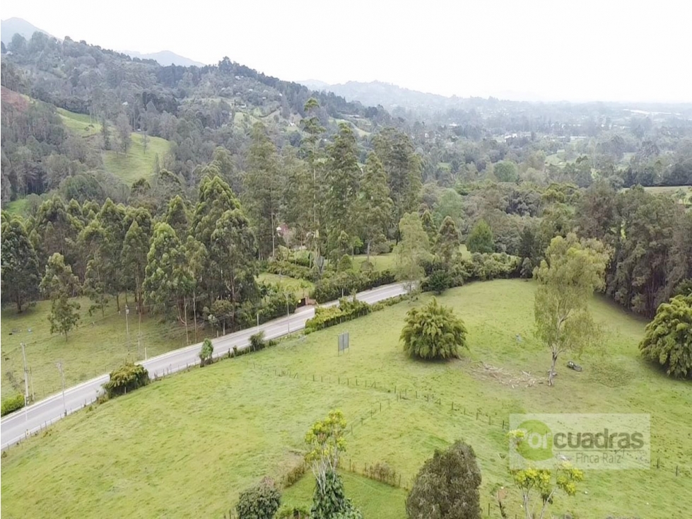 Venta | Terreno 52.400 m² en Llanogrande ideal para inversionistas — foto 3