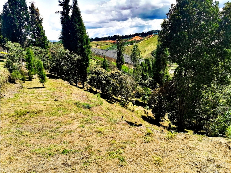 Lote en venta Hojas Anchas, Rionegro 4.600 m², $700 millones — foto 2