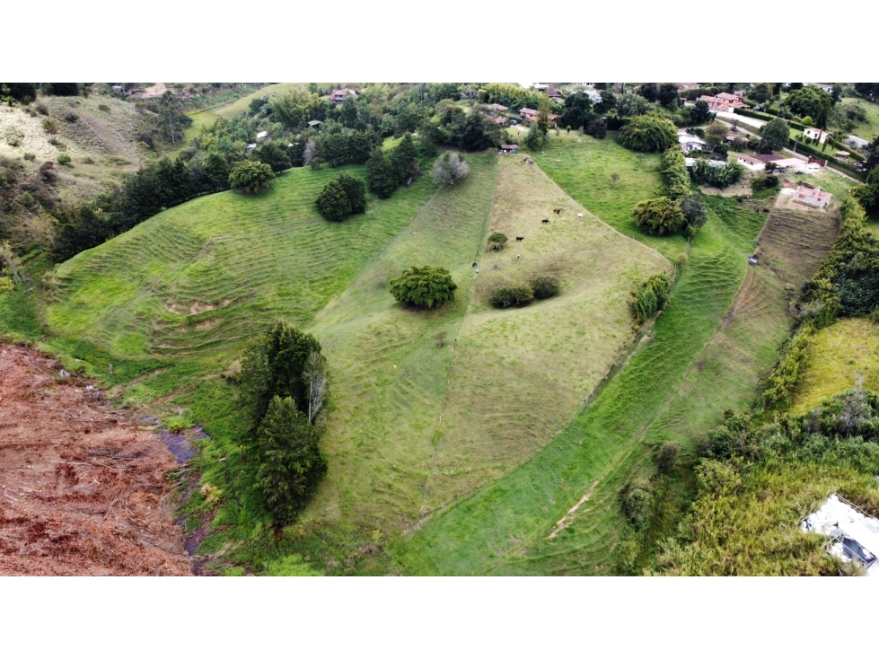Venta casa campestre en Rionegro con lote agropecuario — foto 4