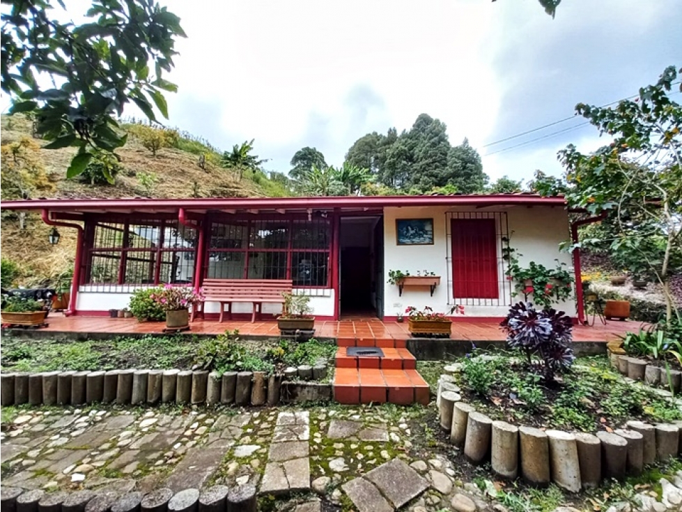 Finca agropecuaria de 6,4 ha con cultivo de aguacate en venta — foto 4