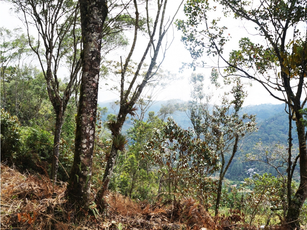 Venta | Lote con vista a la represa en El Retiro y bosque nativo — foto 3