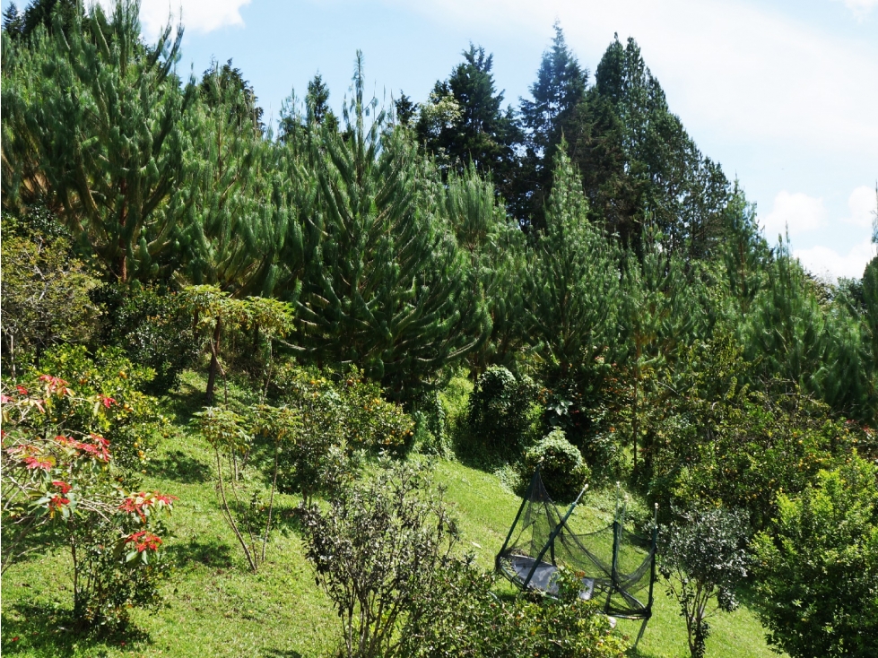 Venta casa campestre en Guarne con lote de 60.000 m² — foto 5
