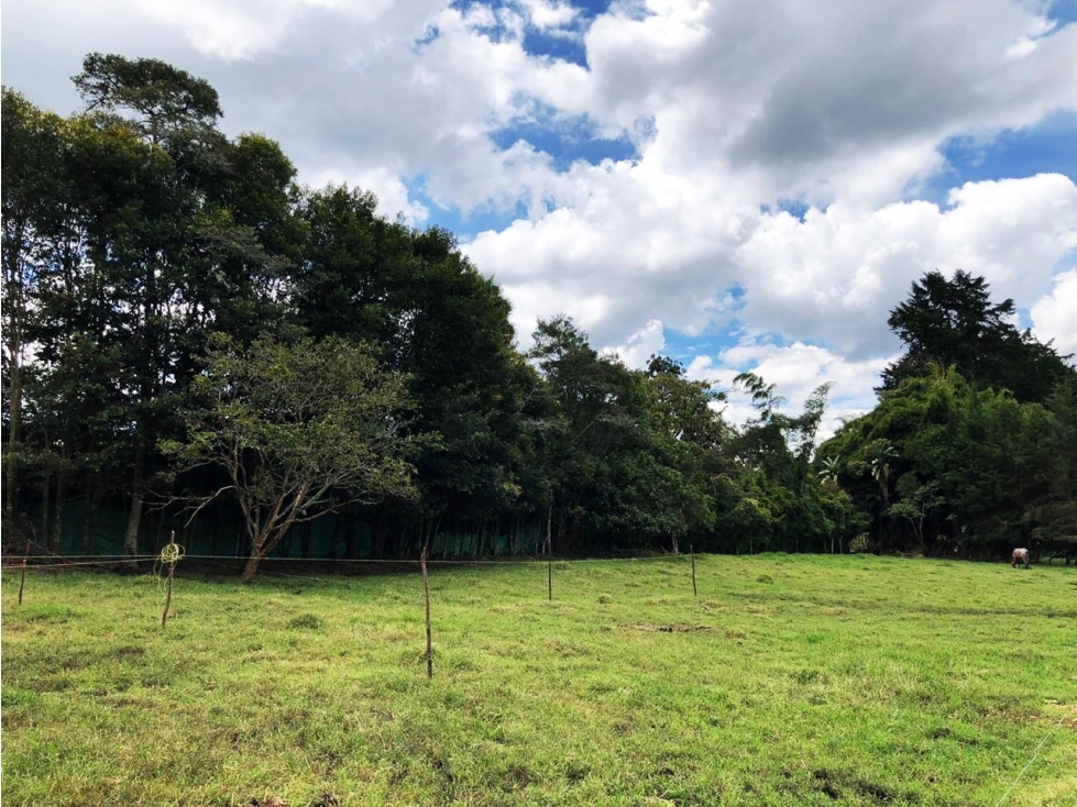 Venta lote en Llanogrande con topografía plana y 3 viviendas — foto 4