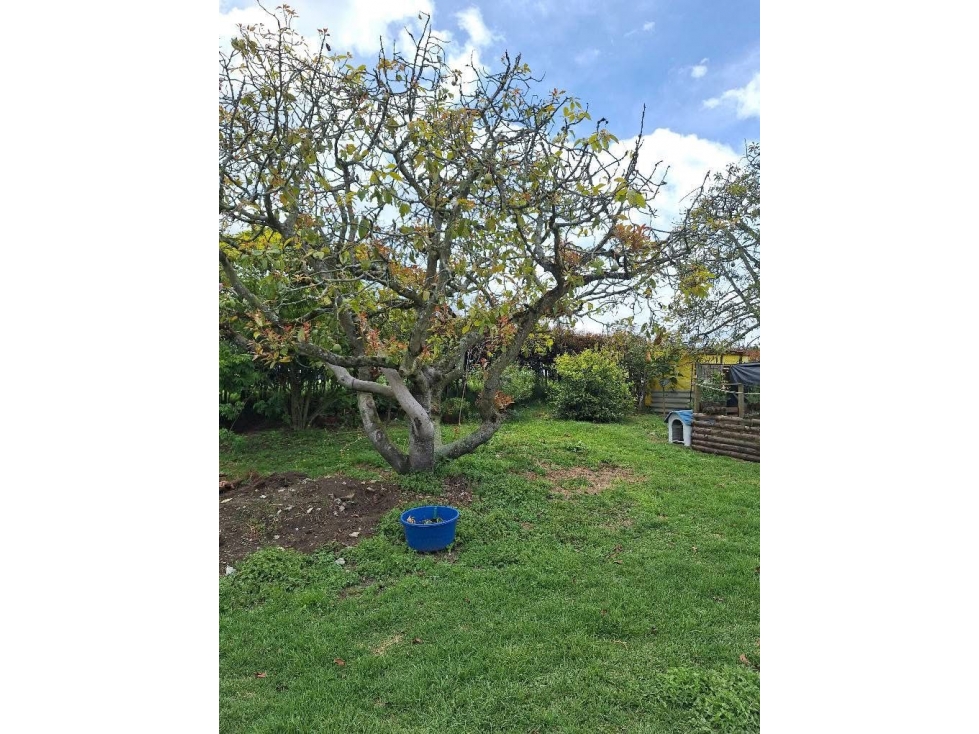 VENTA DE FINCA EN SAN PEDRO — foto 4