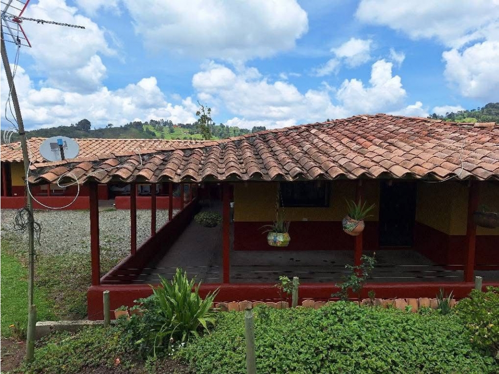 VENTA DE FINCA EN SAN PEDRO — foto 5