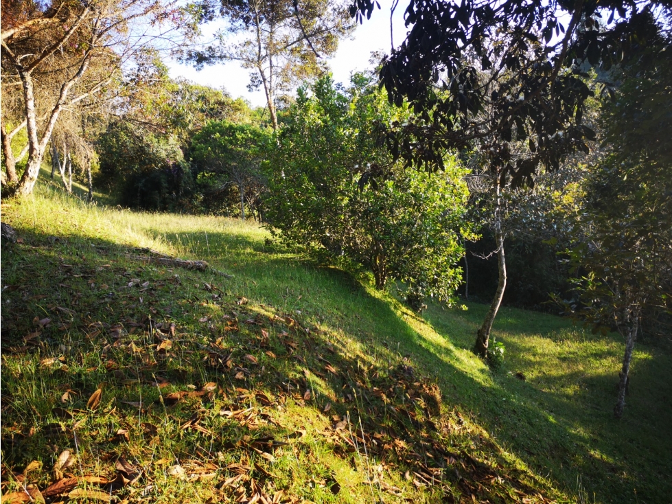 Lote en venta parcelación privada en el Retiro Antioquia — foto 5