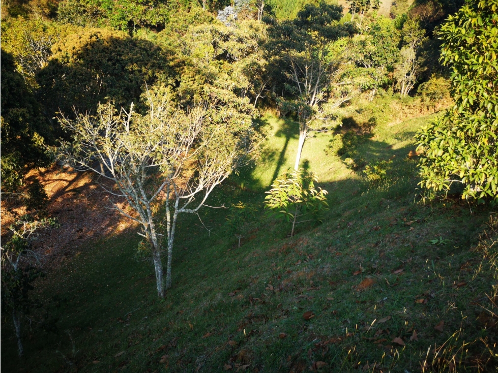 Lote en venta parcelación privada en el Retiro Antioquia — foto 3