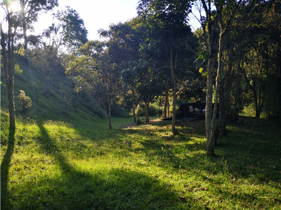 Lote en venta parcelación privada en el Retiro Antioquia — foto 4