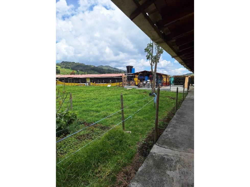 VENTA DE FINCA EN SAN PEDRO — foto 3