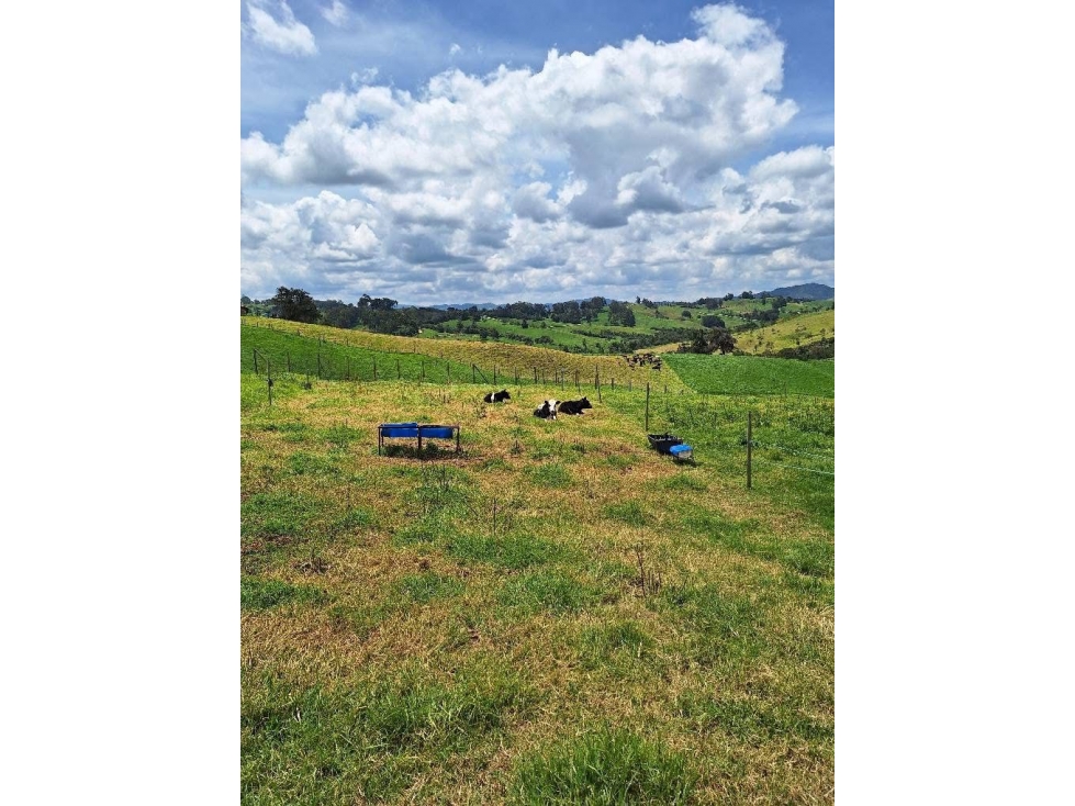 VENTA DE FINCA EN SAN PEDRO — foto 2