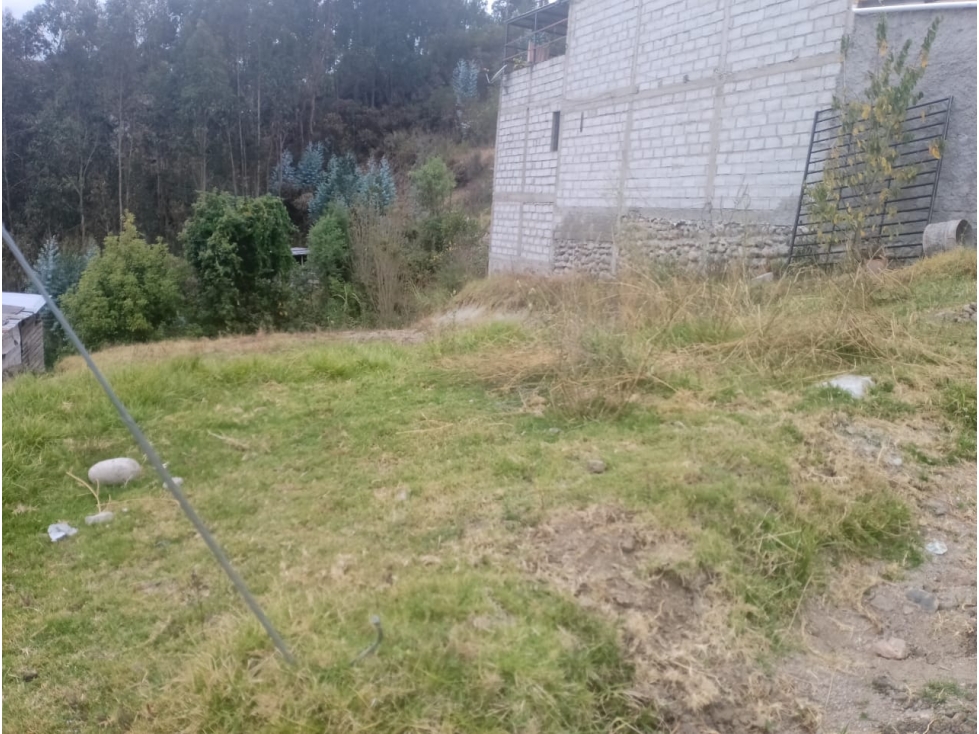 Terreno en venta Sector Rancho Grande - 2