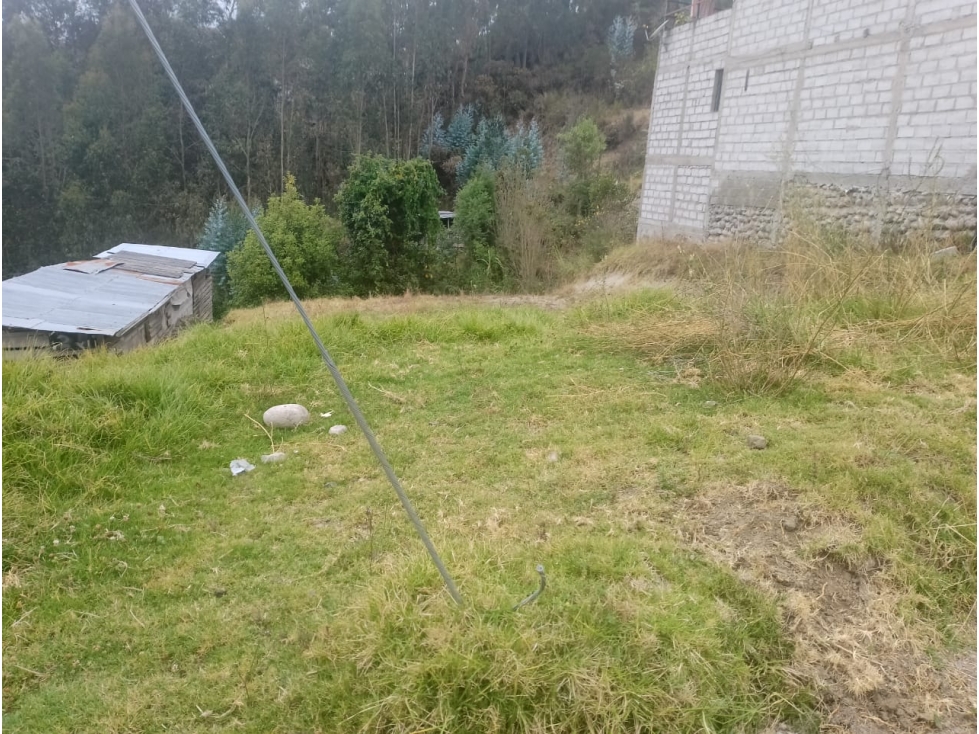 Terreno en venta Sector Rancho Grande - 3
