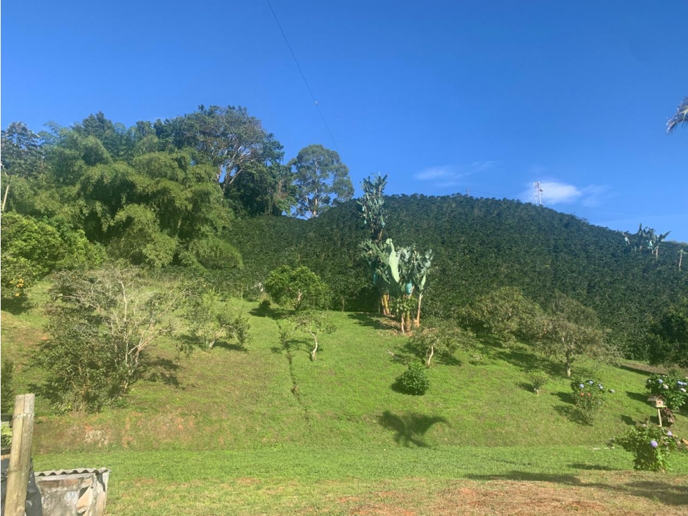 En venta finca de cafe en Marsella- Pereira — foto 4