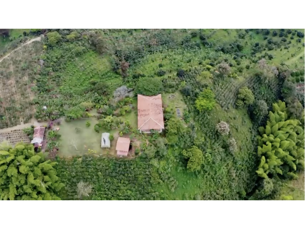 En venta Finca Turistica en Filandia - 1