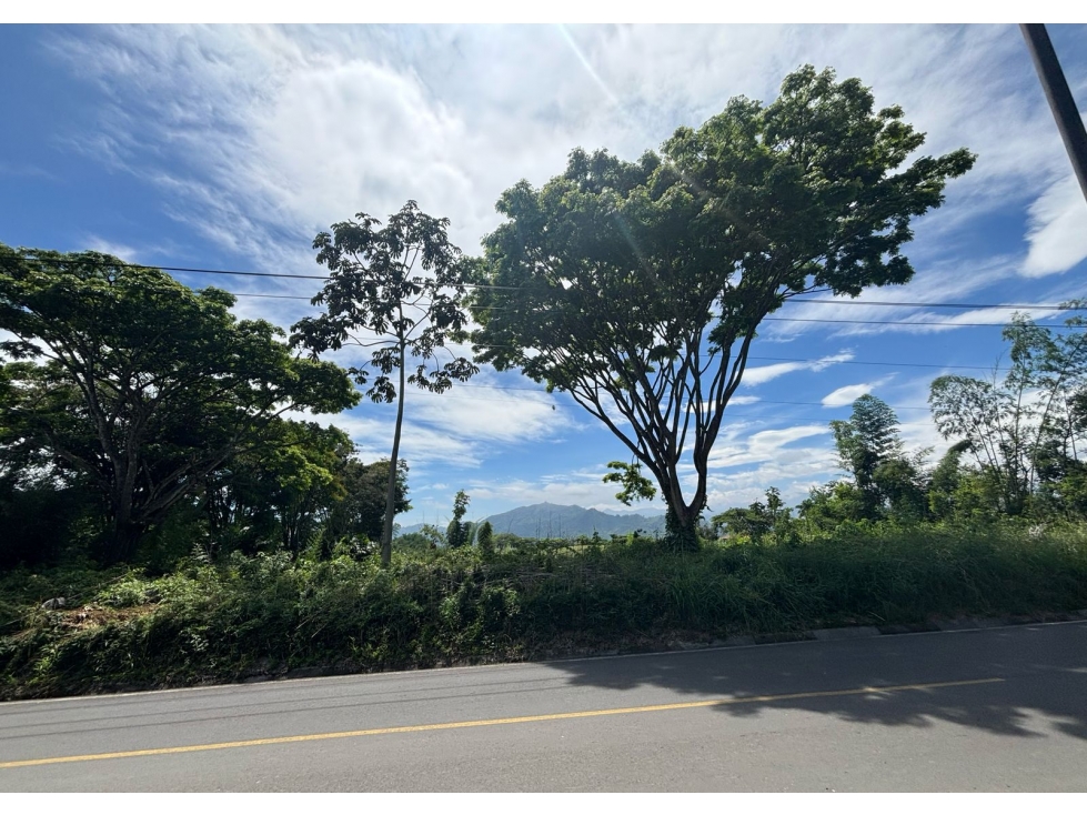 En venta lote en Cerritos - Pereira