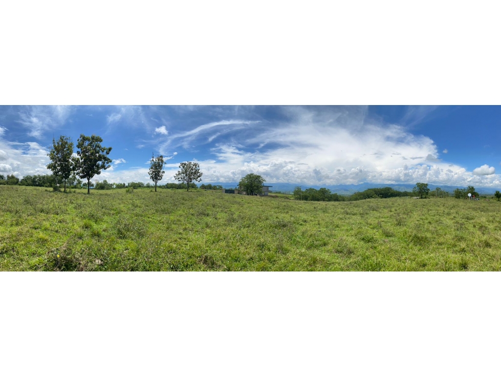 En venta Lote en Cerritos,Pereira