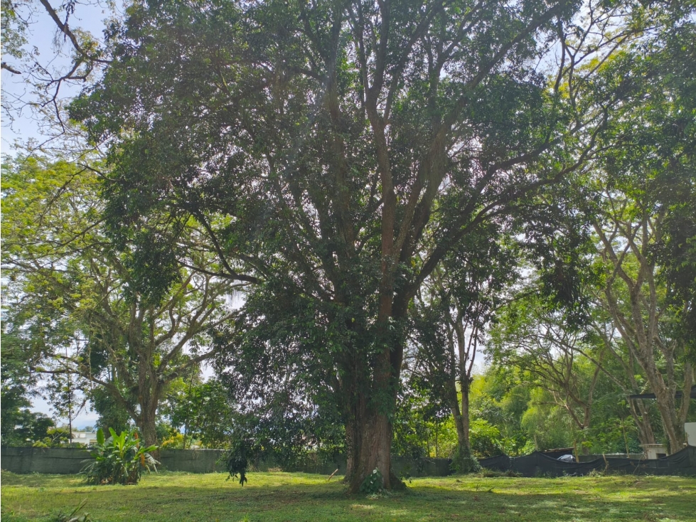 En venta lote campestre en el Tigre ,Cerritos