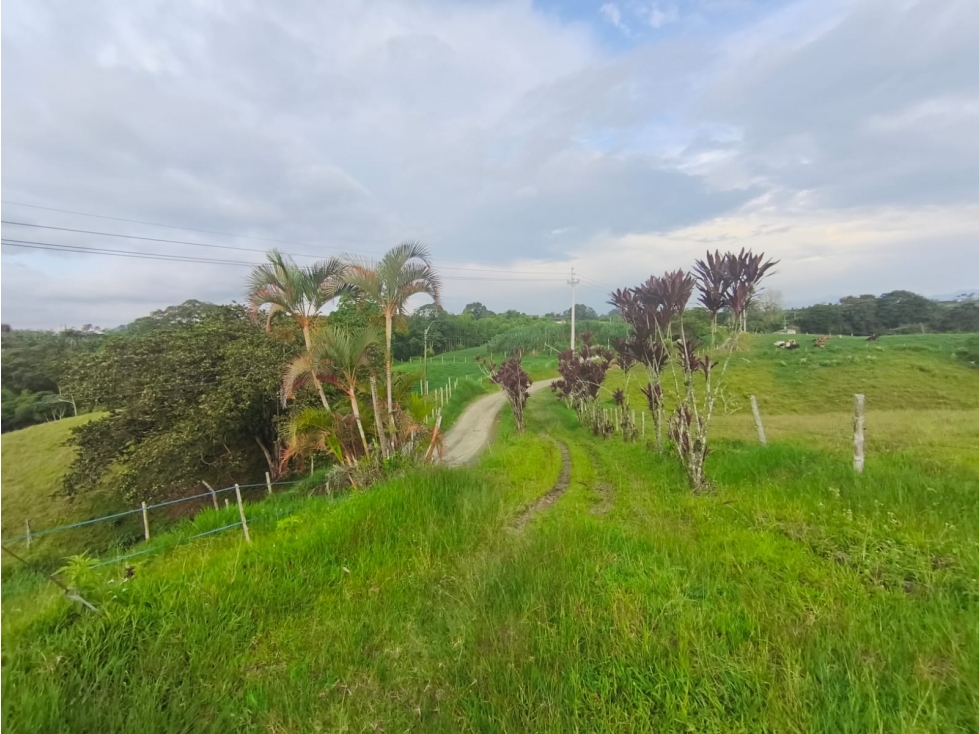 En venta Finca Ganadera en el sector la Vereda Guayabal - Pereira — foto 3