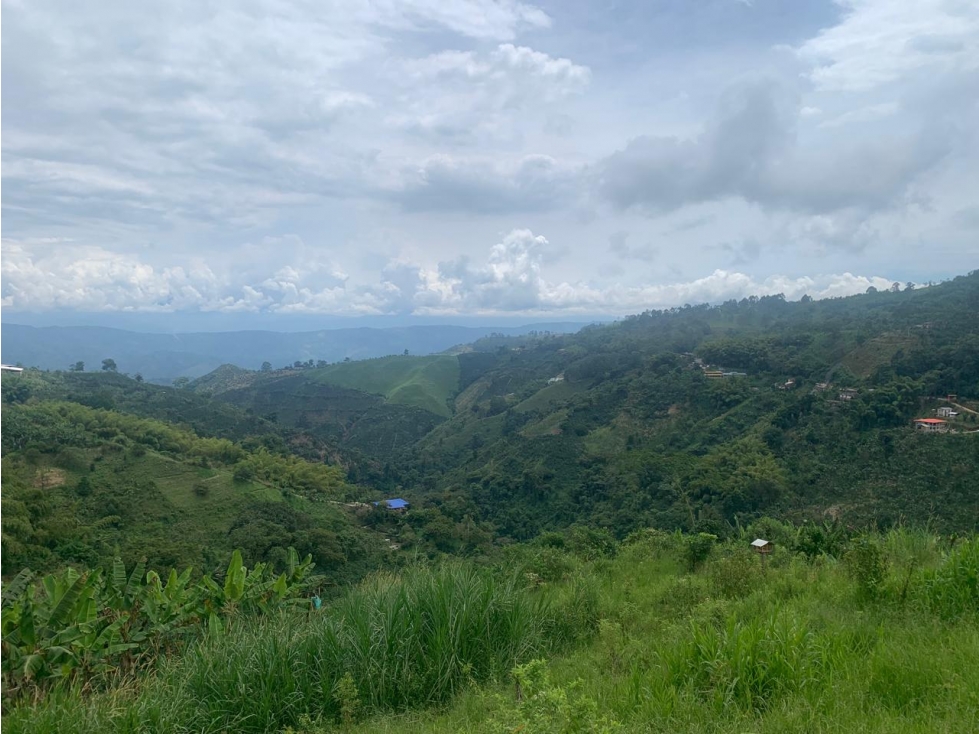 En venta finca de café y plátano en Marsella- Pereira — foto 2