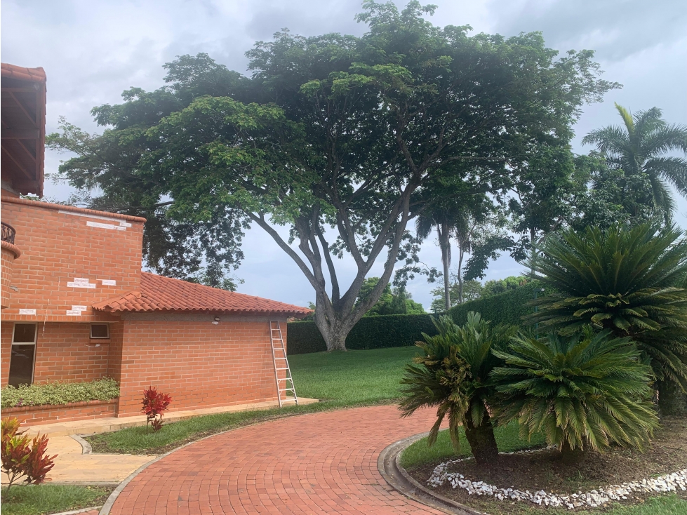 En venta casa Campestre en Cafelia - Cerritos — foto 5