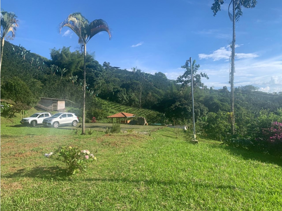 En venta finca de cafe en Marsella- Pereira — foto 6