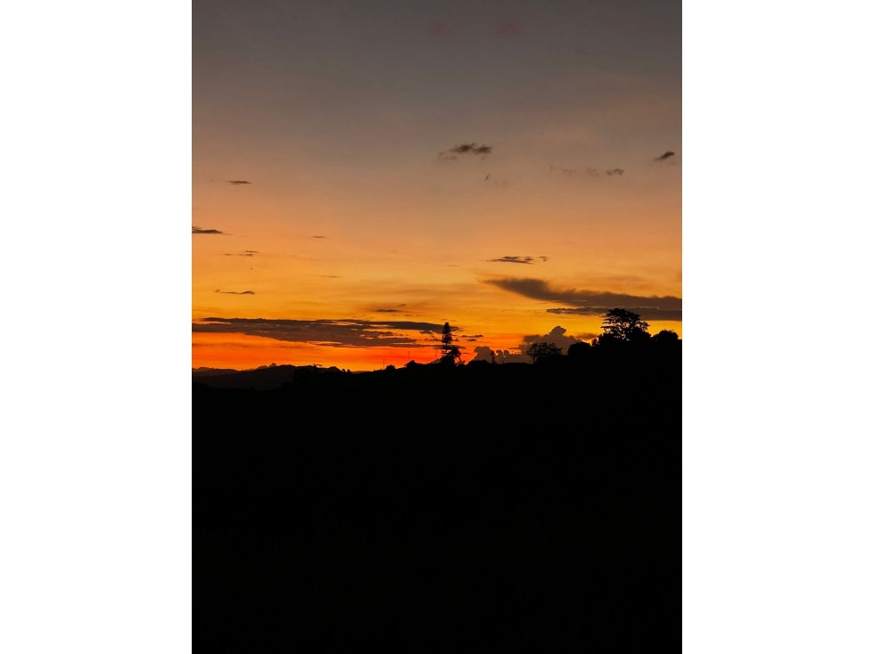 En venta Finca Turistica en Filandia - 5