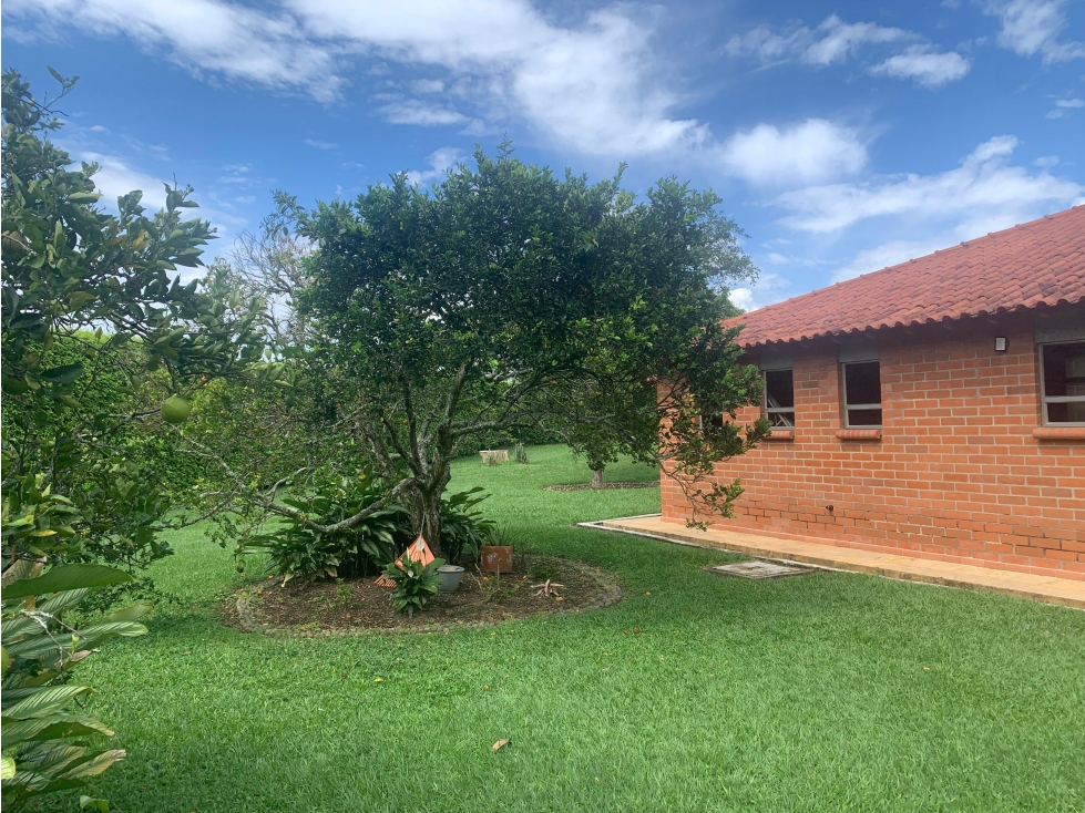 En venta casa Campestre en Cafelia - Cerritos — foto 4