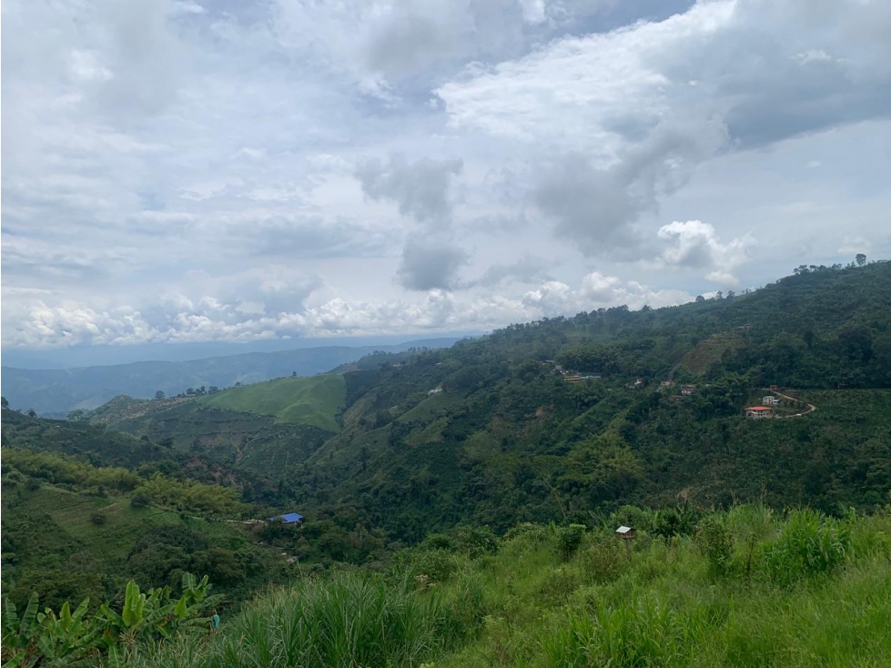 En venta finca de café y plátano en Marsella- Pereira — foto 5