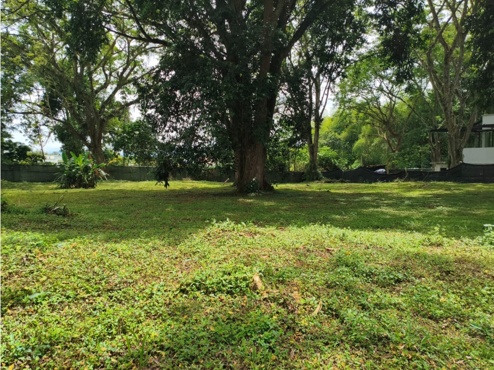 En venta lote campestre en el Tigre ,Cerritos — foto 2