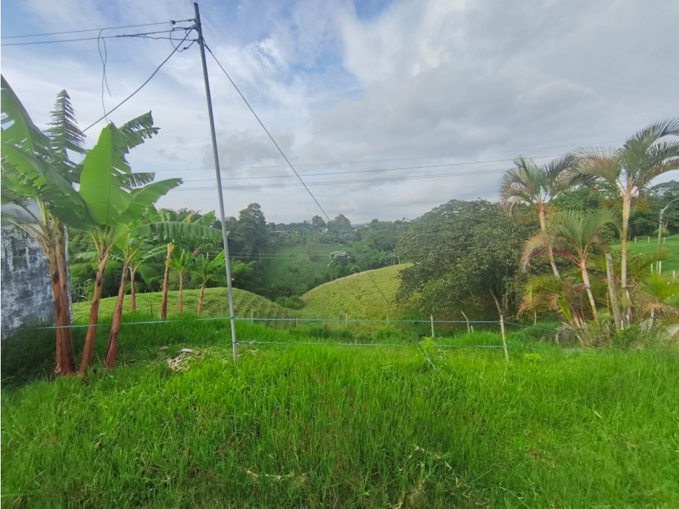 En venta Finca Ganadera en el sector la Vereda Guayabal - Pereira — foto 4