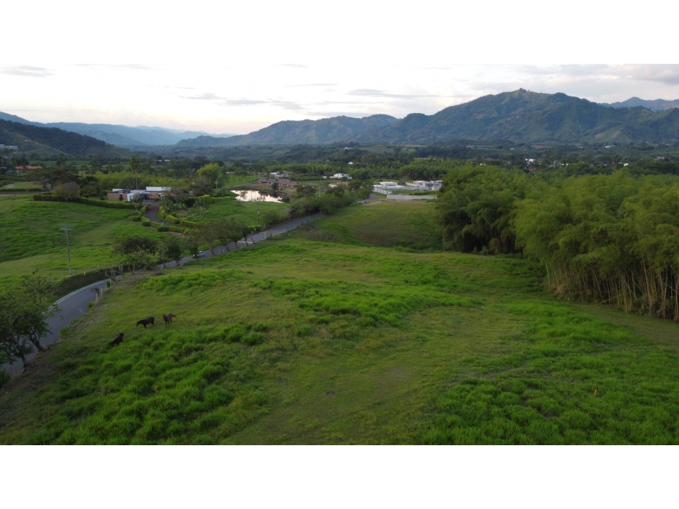 En venta lote en Malabar Cerritos, Pereira - 3