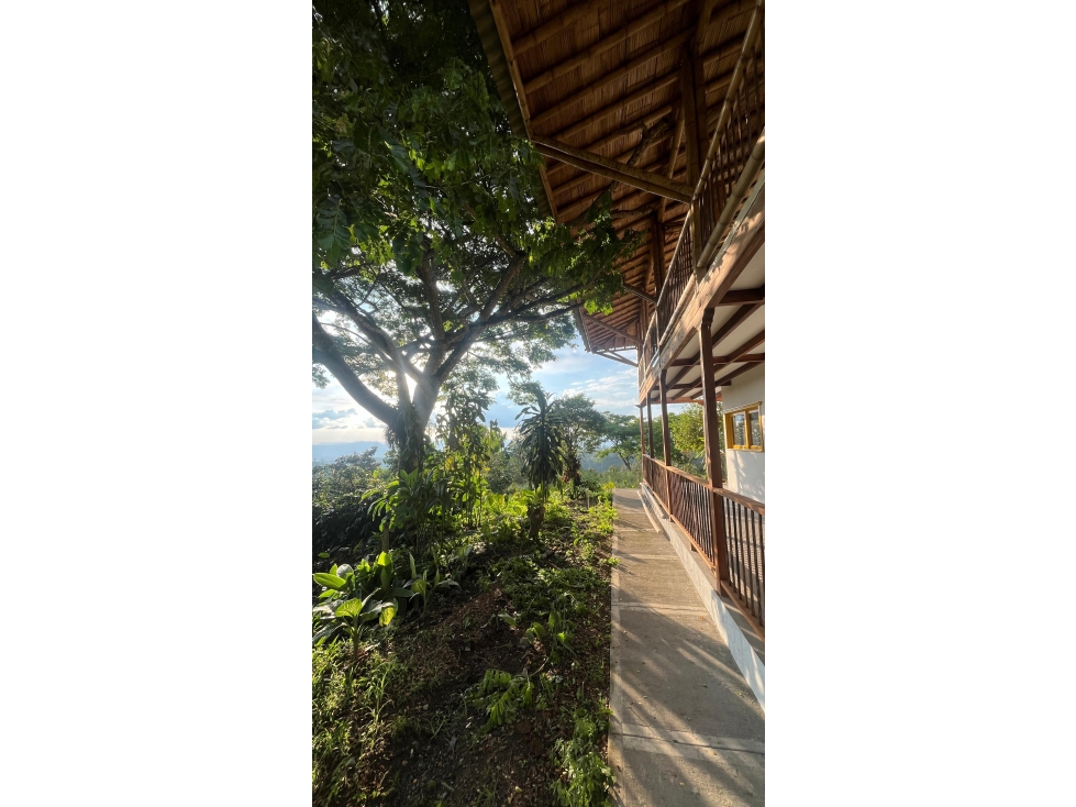 En venta Finca Turistica en Filandia - 4