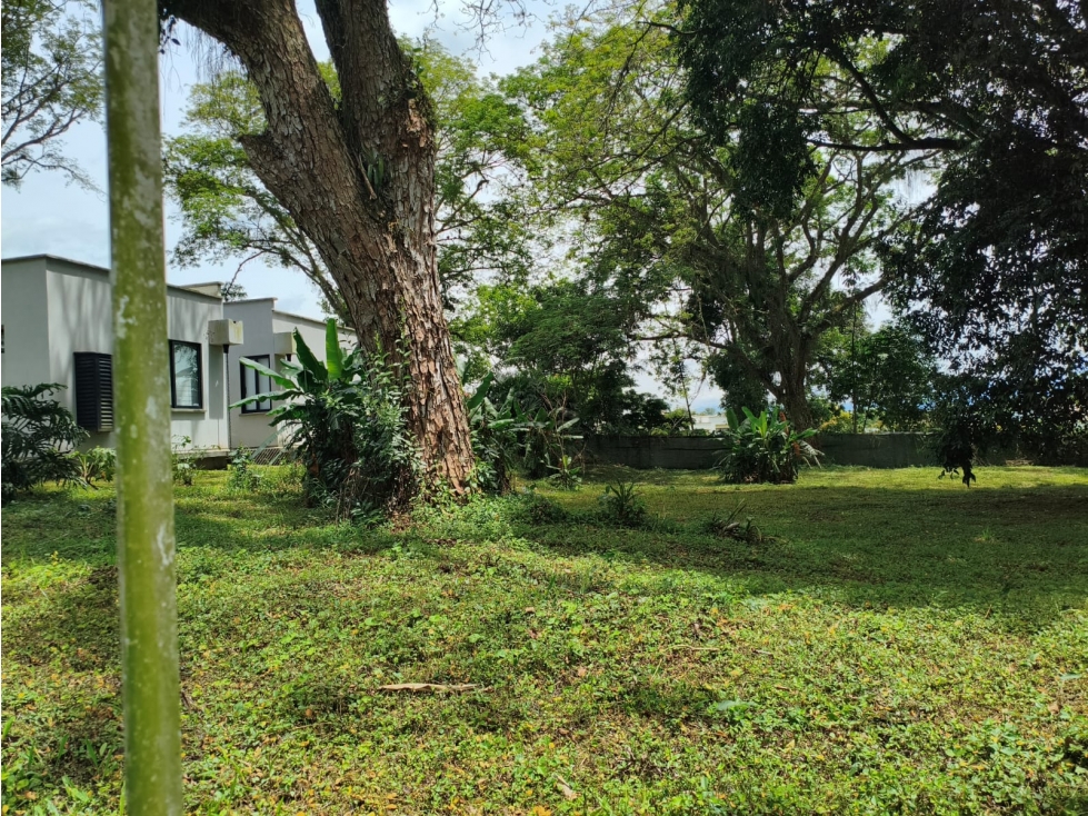 En venta lote campestre en el Tigre ,Cerritos — foto 3