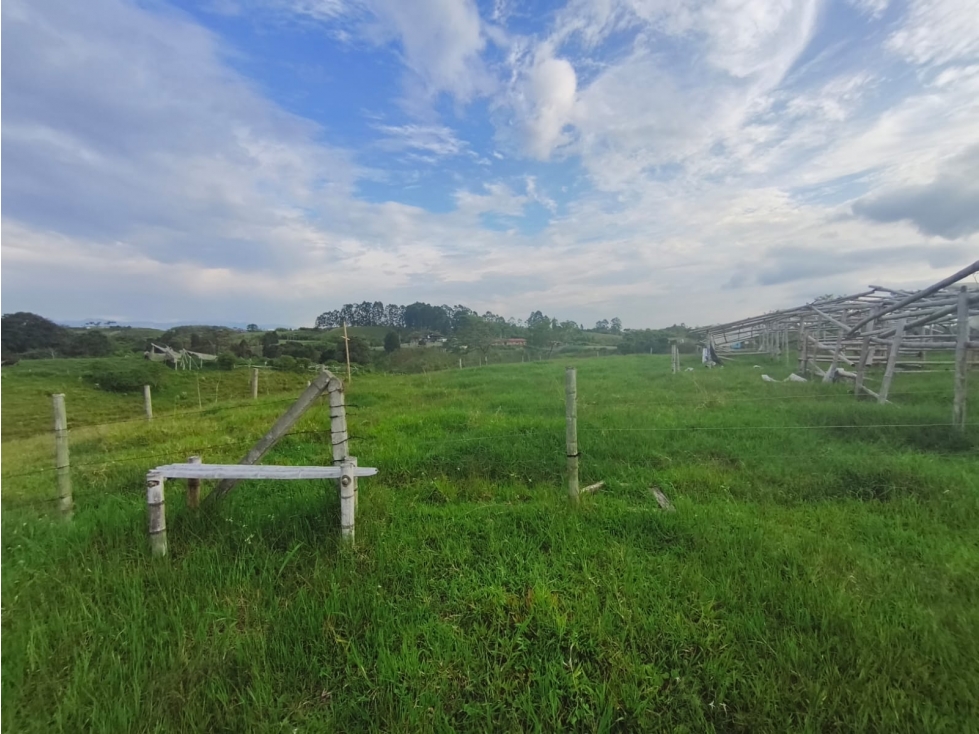 En venta Finca Ganadera en el sector la Vereda Guayabal - Pereira — foto 5