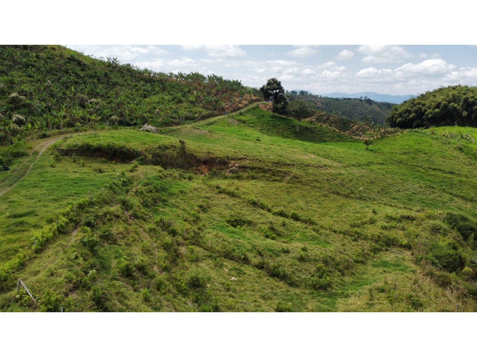 En venta Finca en Ulloa , 50 minutos de Pereira - 4