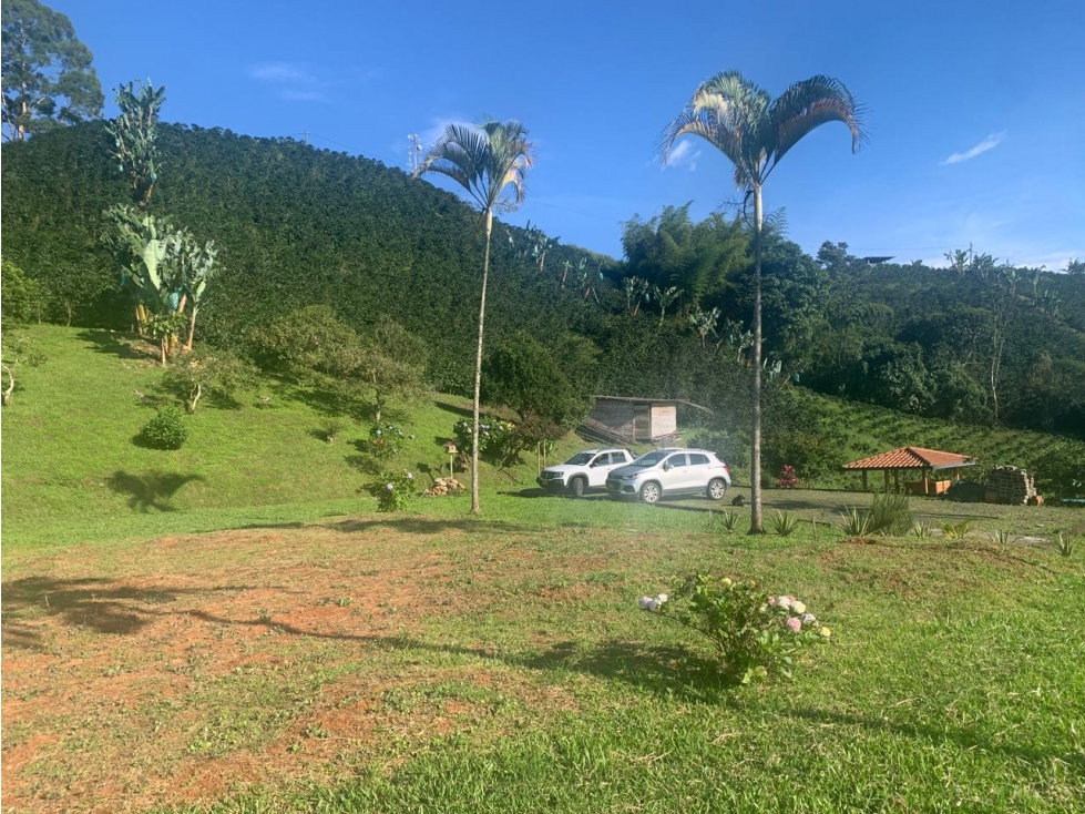 En venta finca de cafe en Marsella- Pereira — foto 5