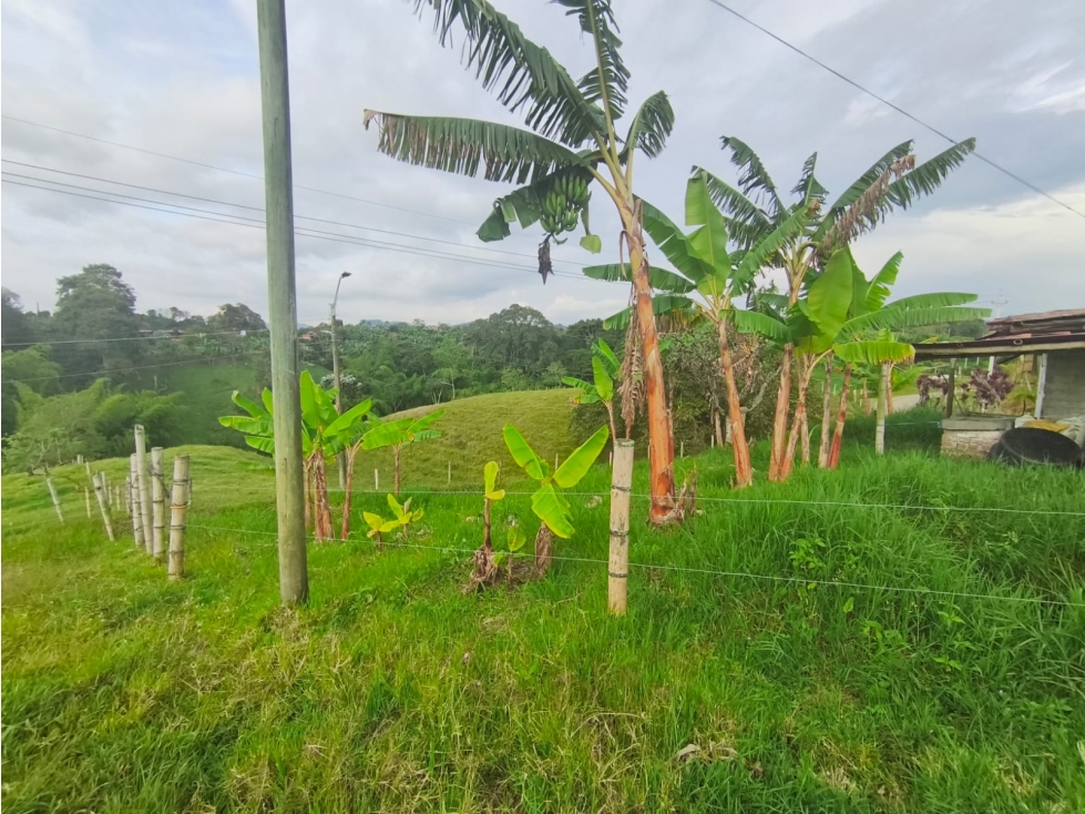 En venta Finca Ganadera en el sector la Vereda Guayabal - Pereira — foto 2