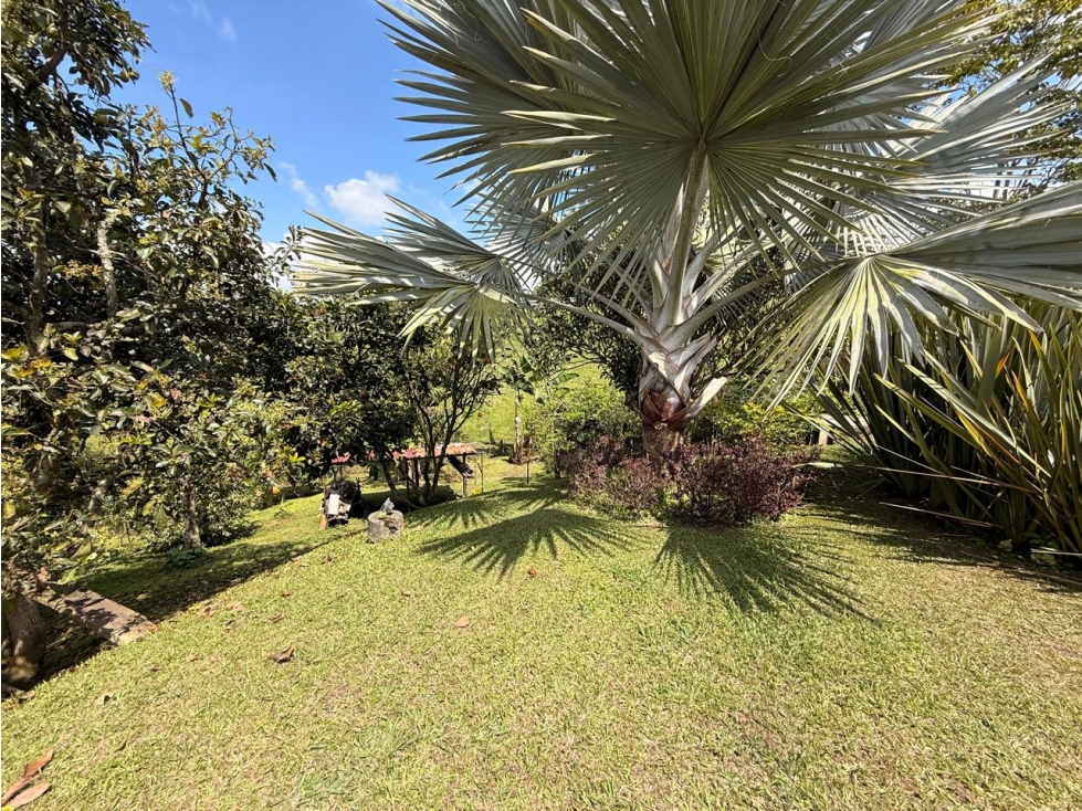 En venta casa campestre en Via Armenia , Pereira — foto 2