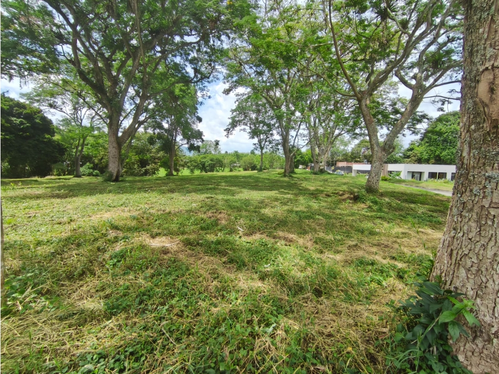 En venta lote campestre en el Tigre ,Cerritos — foto 6