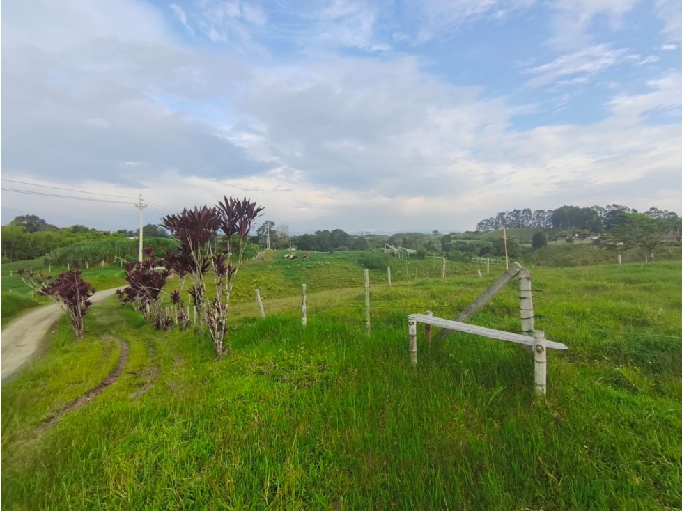 En venta Finca Ganadera en el sector la Vereda Guayabal - Pereira — foto 6
