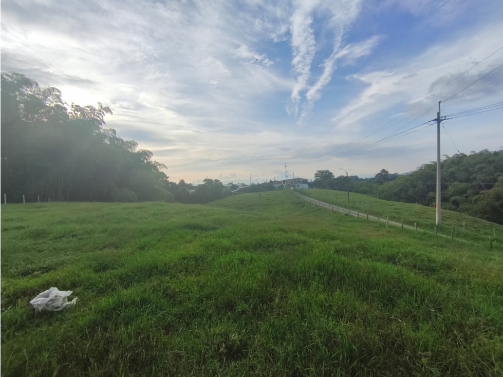 En venta Finca Ganadera en el sector la Vereda Guayabal - Pereira