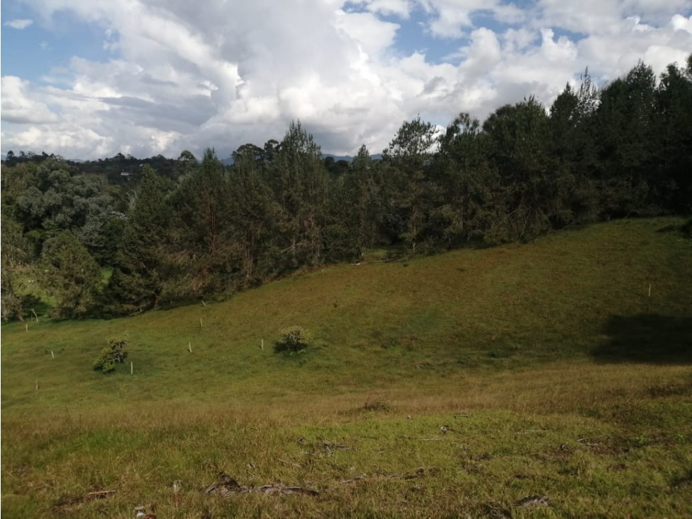 VENTA DE LOTE EN LA CEJA - 6