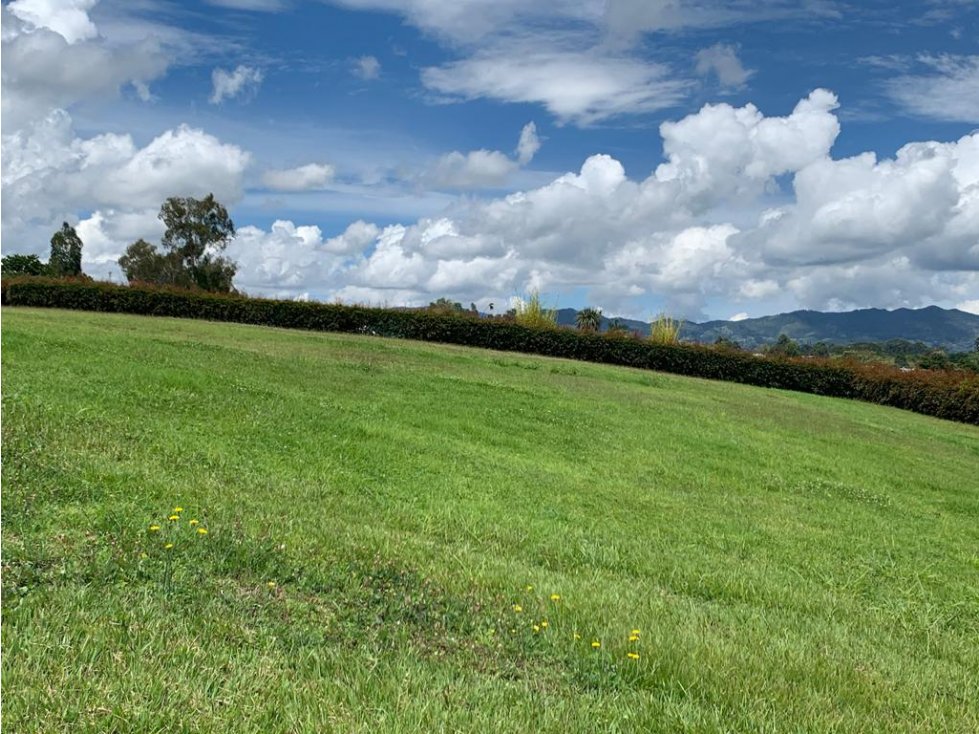LOTE EN LLANOGRANDE